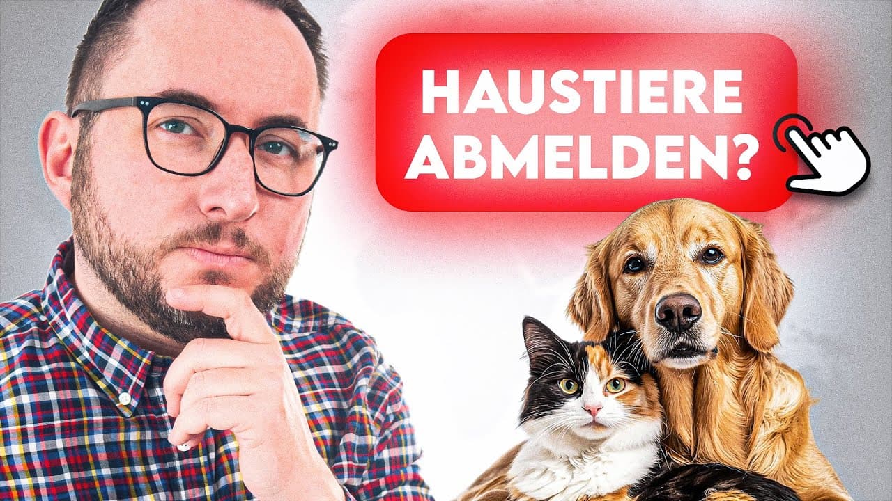 Auswandern mit Haustieren? Darauf musst du achten